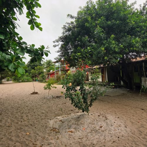 Imagem do WhatsApp de 2025-12-11 à(s) 15.24.20_dae61e0c