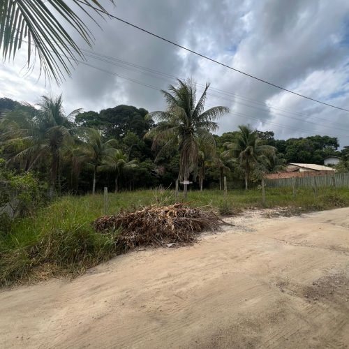 Imagem do WhatsApp de 2025-12-26 à(s) 15.07.55_7b5b6338