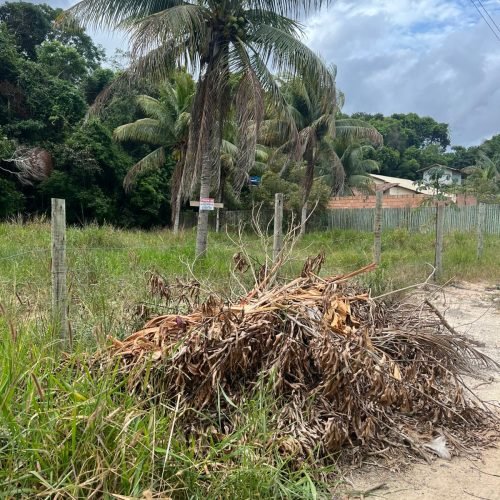 Imagem do WhatsApp de 2025-12-26 à(s) 15.07.55_d00ee03a