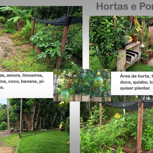 Imagem do WhatsApp de 2026-01-14 à(s) 18.34.59_e06c6043