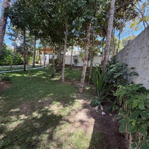 WhatsApp Image 2025-09-15 at 09.36.16