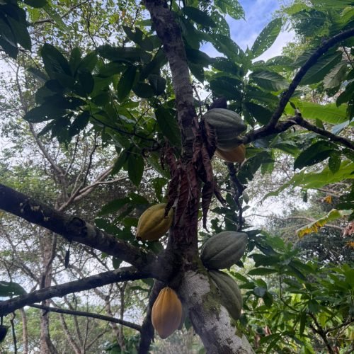 WhatsApp Image 2026-01-26 at 12.01.14 (1)