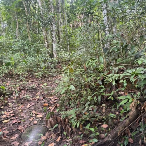 WhatsApp Image 2026-01-26 at 12.01.14 (2)