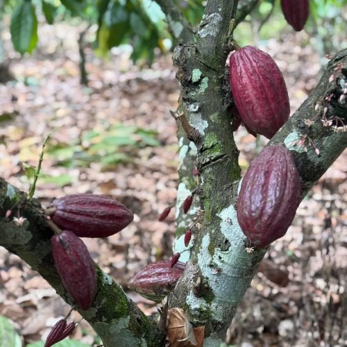 WhatsApp Image 2026-01-26 at 12.01.14 (3)