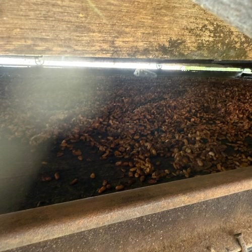 WhatsApp Image 2026-01-26 at 12.01.14 (4)