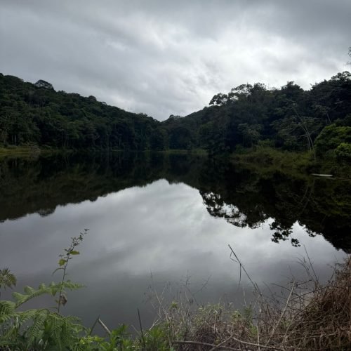 WhatsApp Image 2026-01-26 at 12.01.14 (5)