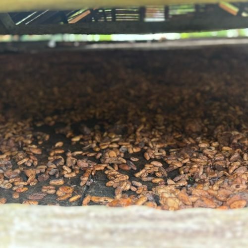 WhatsApp Image 2026-01-26 at 12.01.15 (2)