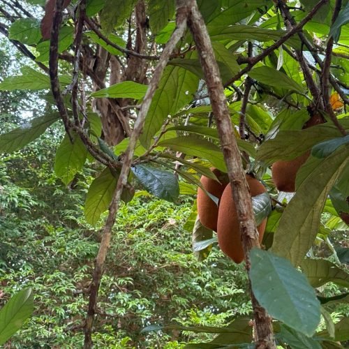 WhatsApp Image 2026-01-26 at 12.01.15 (3)