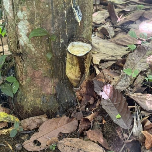 WhatsApp Image 2026-01-26 at 12.01.15 (4)