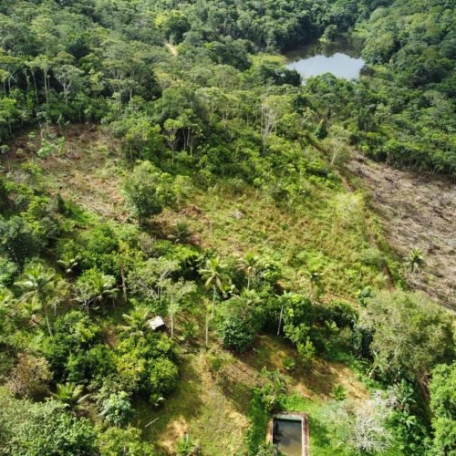 WhatsApp Image 2026-01-26 at 12.01.16 (2)