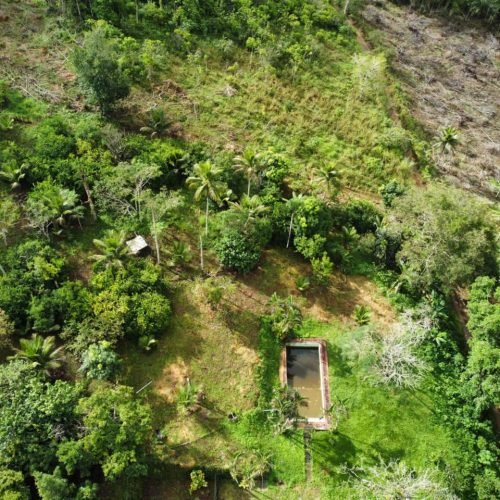 WhatsApp Image 2026-01-26 at 12.01.16