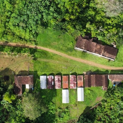 WhatsApp Image 2026-01-26 at 12.01.17 (3)