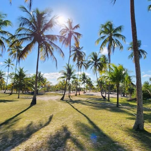 WhatsApp Image 2026-02-09 at 16.57.58