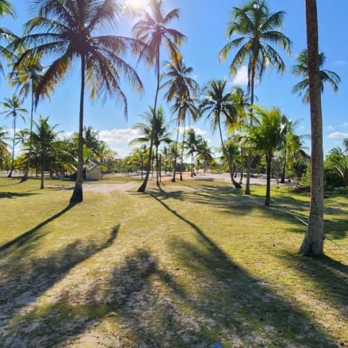 WhatsApp Image 2026-02-09 at 16.58.00