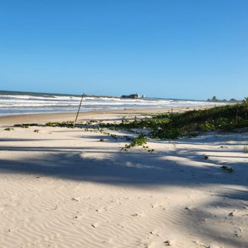 WhatsApp Image 2026-02-09 at 16.58.02 (1)