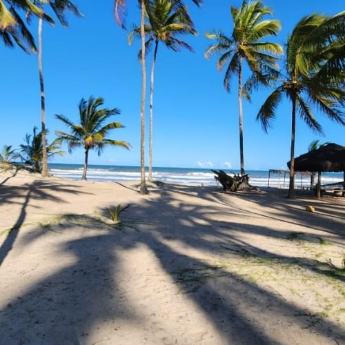 WhatsApp Image 2026-02-09 at 16.58.02