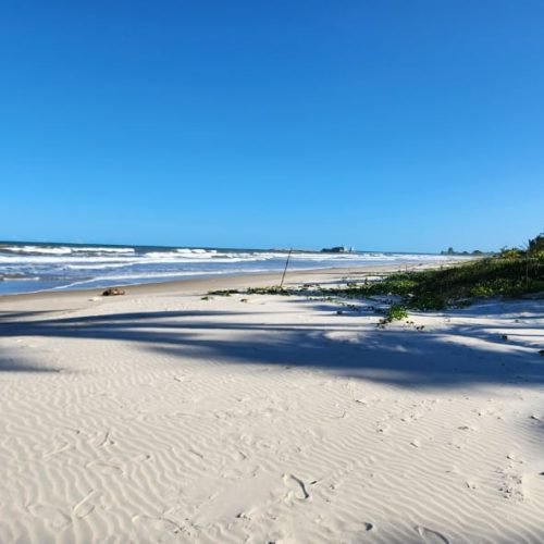 WhatsApp Image 2026-02-09 at 16.58.03