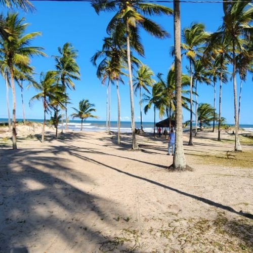 WhatsApp Image 2026-02-09 at 16.58.04 (1)