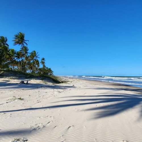 WhatsApp Image 2026-02-09 at 16.58.04 (2)