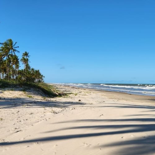 WhatsApp Image 2026-02-09 at 16.58.04