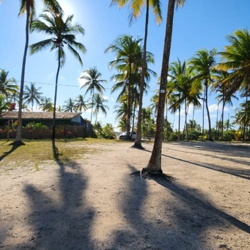 WhatsApp Image 2026-02-09 at 16.58.05 (2)