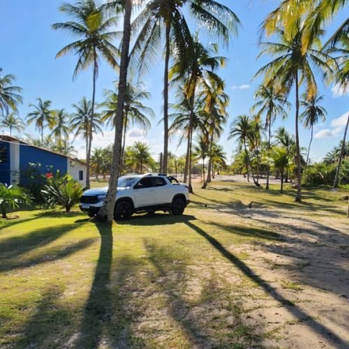 WhatsApp Image 2026-02-09 at 16.58.05 (3)