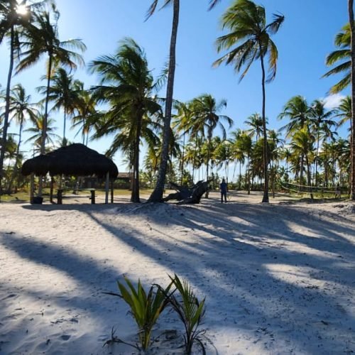 WhatsApp Image 2026-02-09 at 16.58.05