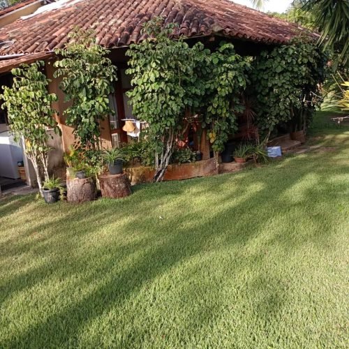 WhatsApp Image 2026-03-09 at 15.11.56-2