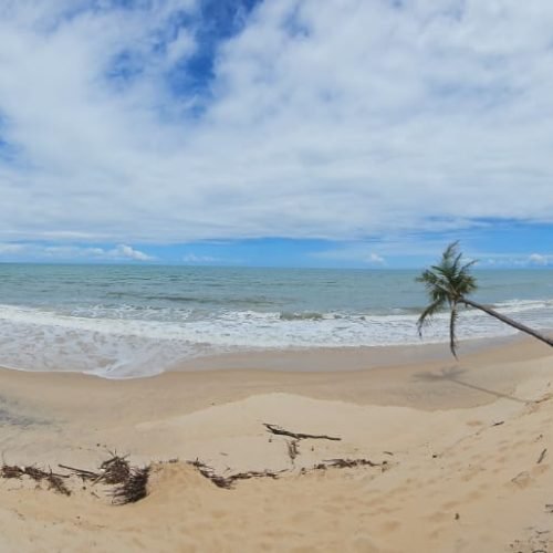 WhatsApp Image 2026-03-09 at 15.26.33-2