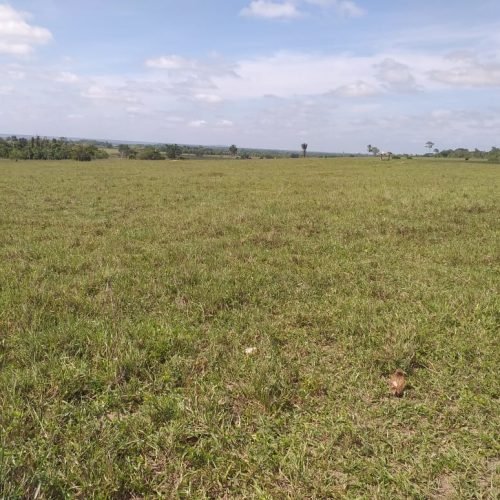 WhatsApp Image 2026-03-16 at 10.23.14 (2)