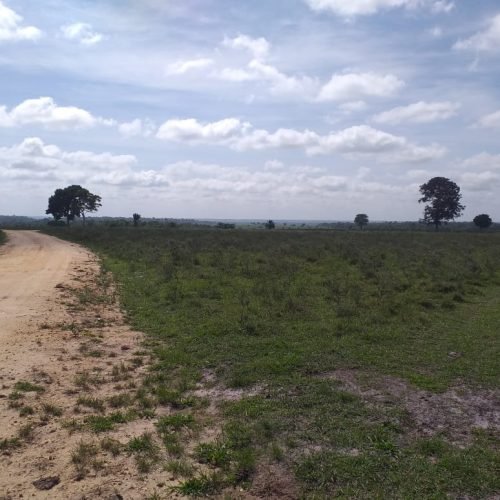 WhatsApp Image 2026-03-16 at 10.23.14