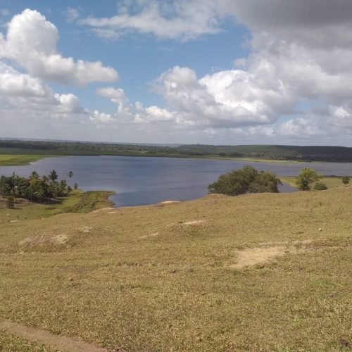 WhatsApp Image 2026-03-16 at 10.23.16 (1)