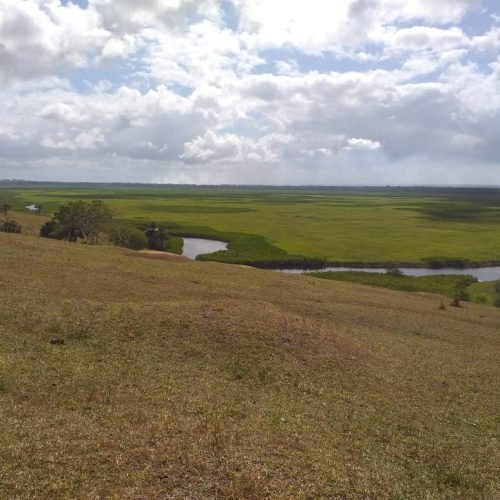 WhatsApp Image 2026-03-16 at 10.23.16