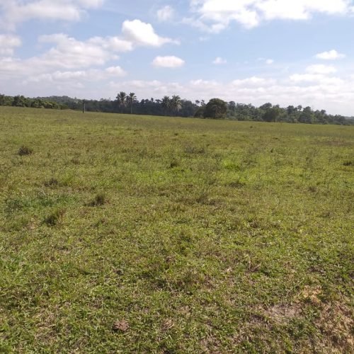 WhatsApp Image 2026-03-16 at 10.23.17 (1)