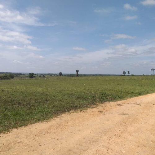 WhatsApp Image 2026-03-16 at 10.23.17 (2)