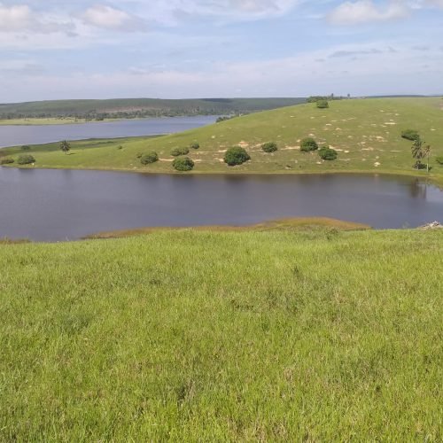 WhatsApp Image 2026-03-16 at 10.23.17