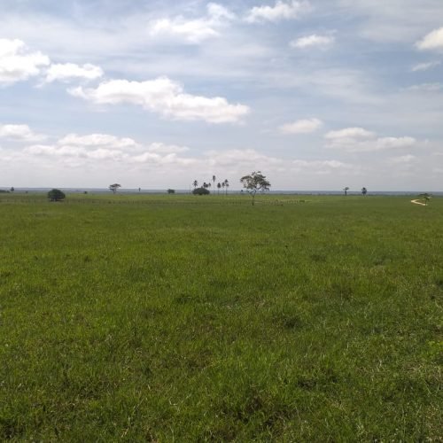 WhatsApp Image 2026-03-16 at 10.23.18 (1)