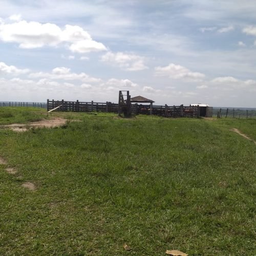 WhatsApp Image 2026-03-16 at 10.23.18 (2)