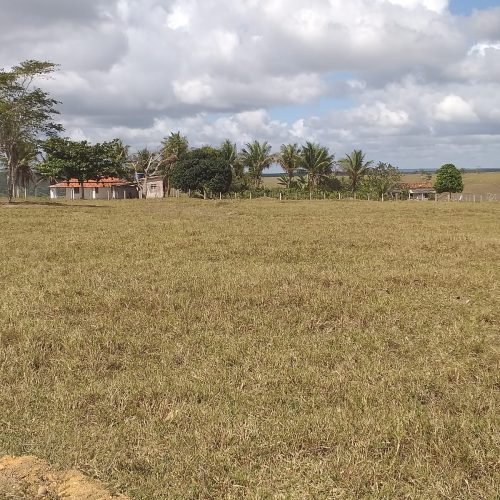 WhatsApp Image 2026-03-16 at 10.23.18 (3)