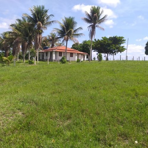 WhatsApp Image 2026-03-16 at 10.23.18 (4)