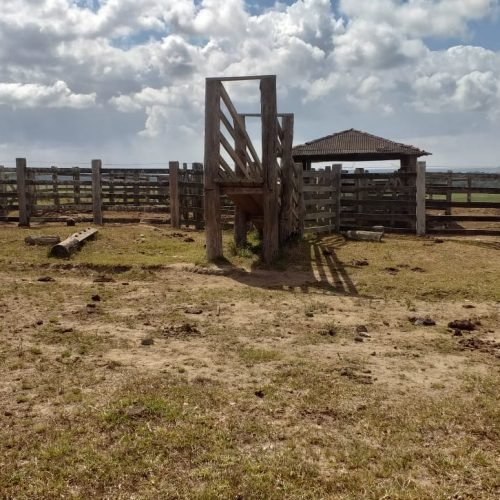 WhatsApp Image 2026-03-16 at 10.23.19 (1)