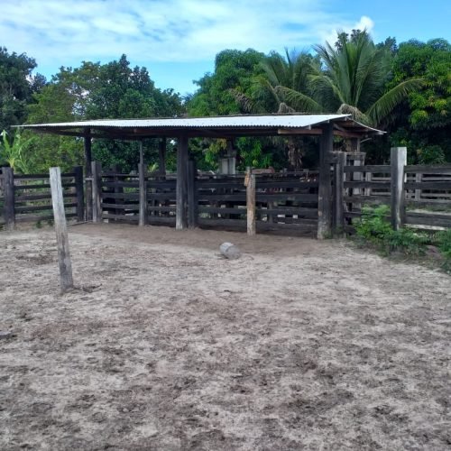 WhatsApp Image 2026-03-16 at 10.23.19 (3)