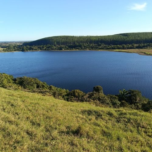 WhatsApp Image 2026-03-16 at 10.23.20 (2)