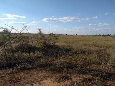 Fazenda em Janaúba MG