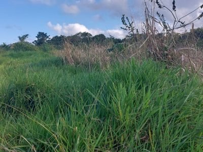 Área Rural para Casa de Campo!