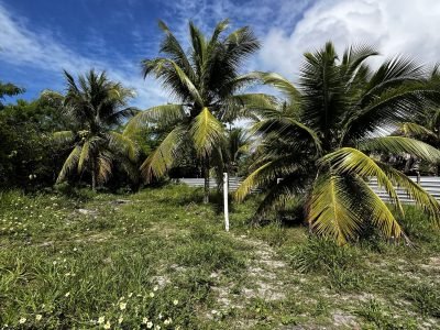 Lote na estrada da balsa / ideal para empreendimento