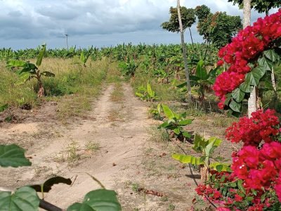 Linda Área Rural  Frente Br e com vista maravilhosa