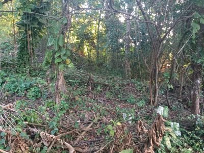 Terreno Alto Mucugê – Arraial d´Ajuda