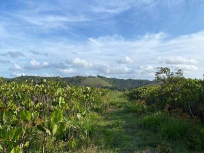 Sitio – PREÇO OPORTUNIDADE
