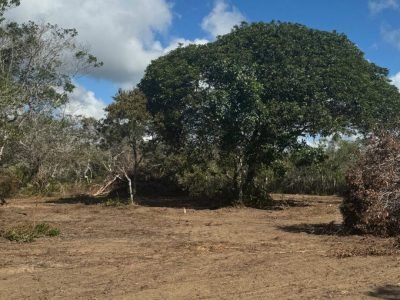 Terreno Estrada Taípe 951 m2